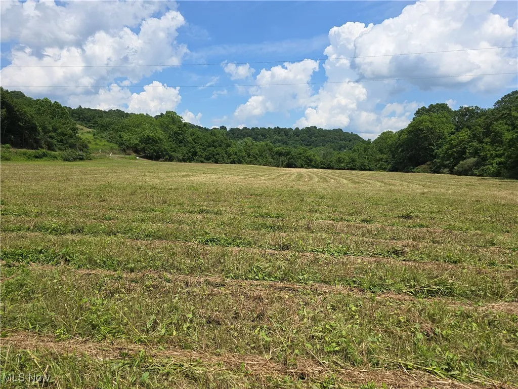 View of woods featuring a view of rural / pastoral area
