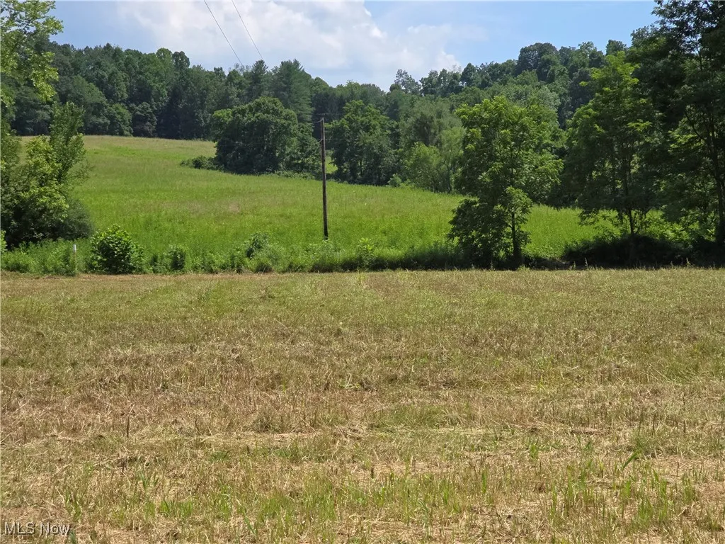 View of wooded area