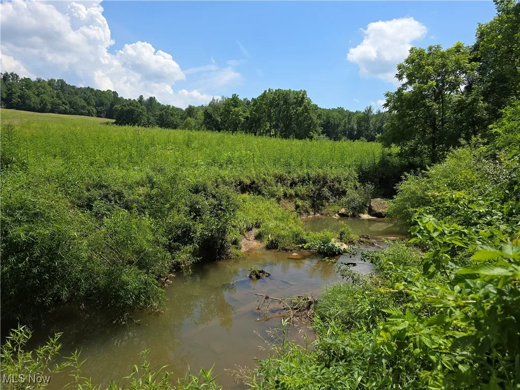 View of wooded area