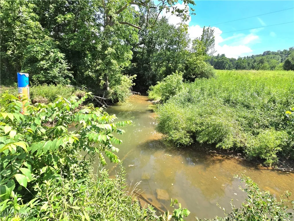 View of nature