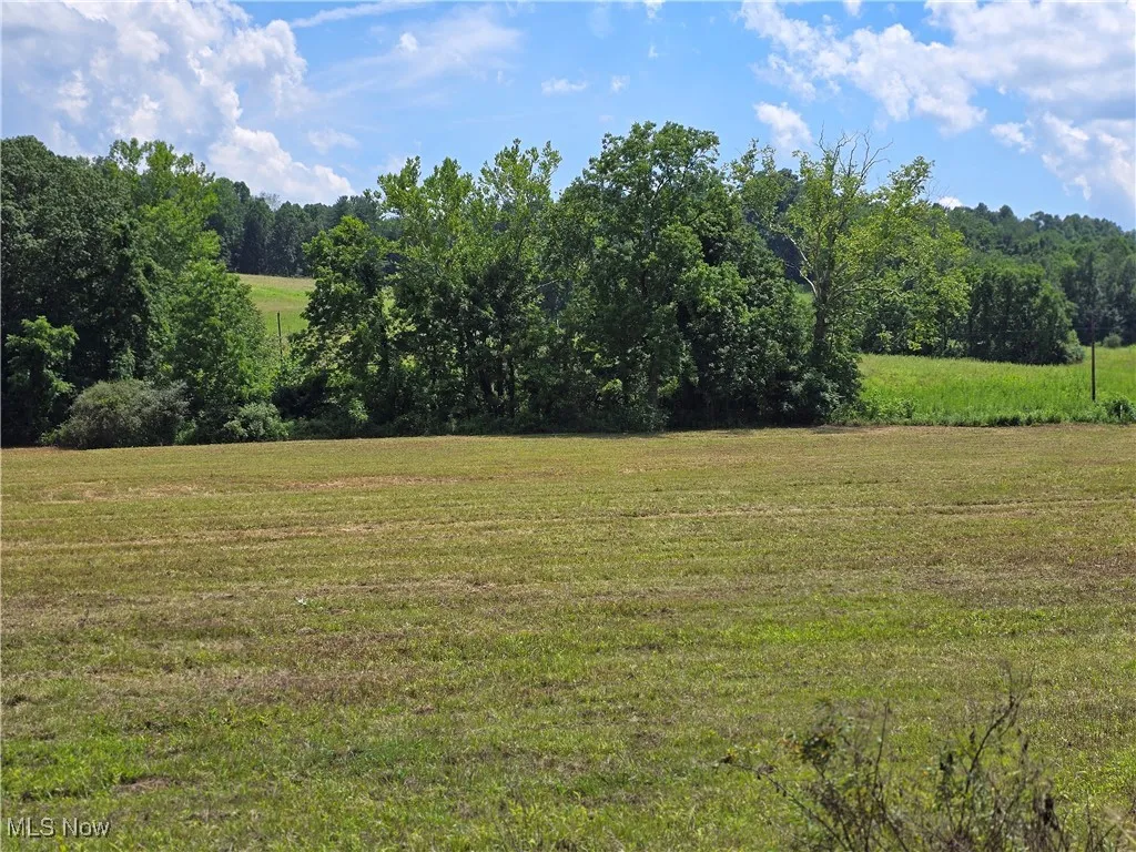 View of grassy yard with a forest view and a rural view