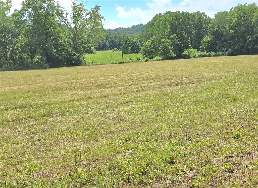 View of grassy yard featuring a rural view and a wooded view