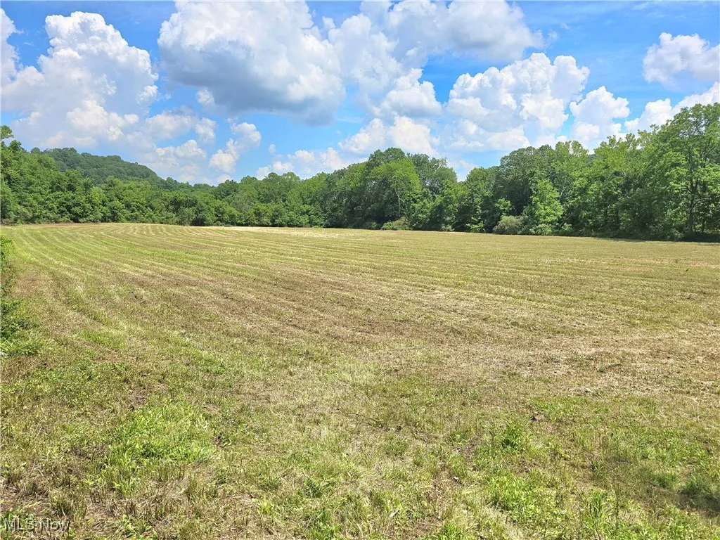 View of green lawn with a wooded view and a view of countryside