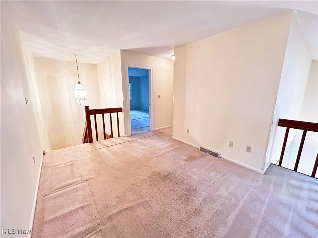 Carpeted loft