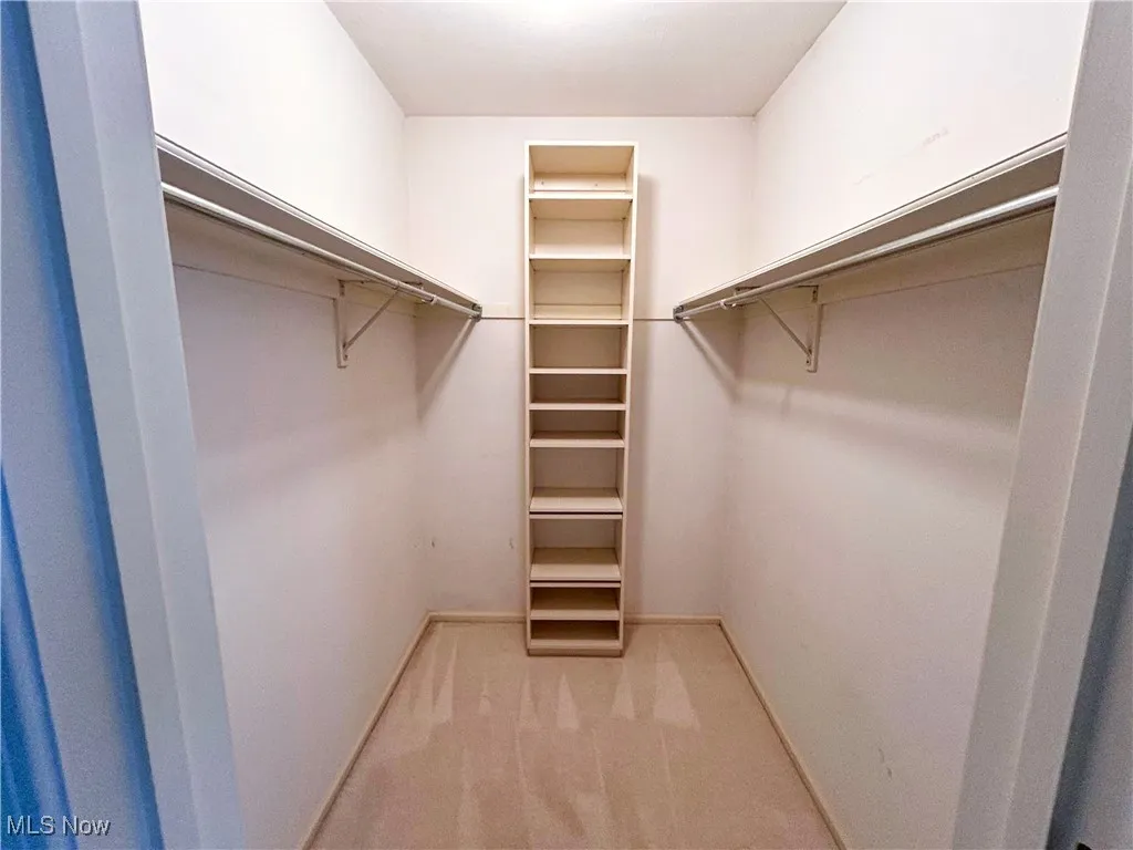 Second bedroom walk in closet featuring carpet and  shelving.