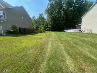 View of grassy yard