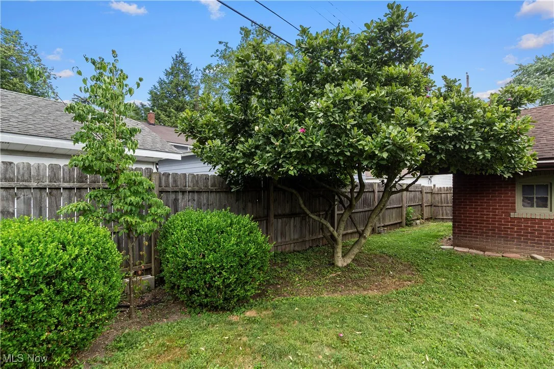 View of fenced backyard