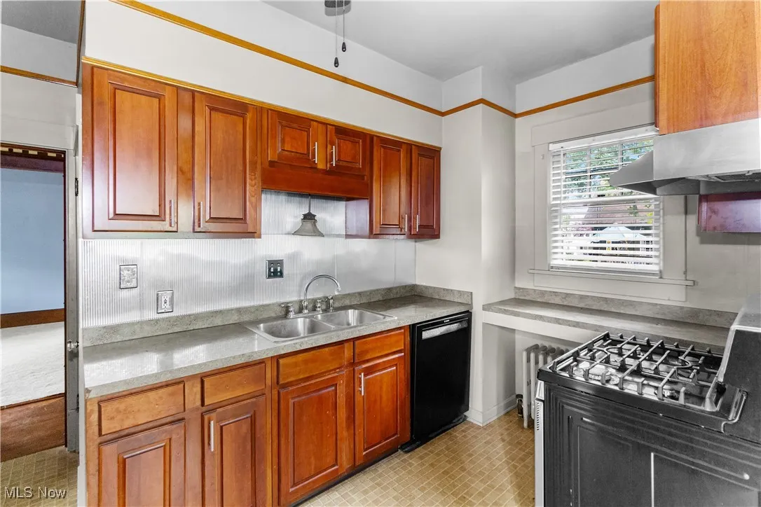 Kitchen featuring dishwasher, ventilation hood, and brown cabinets