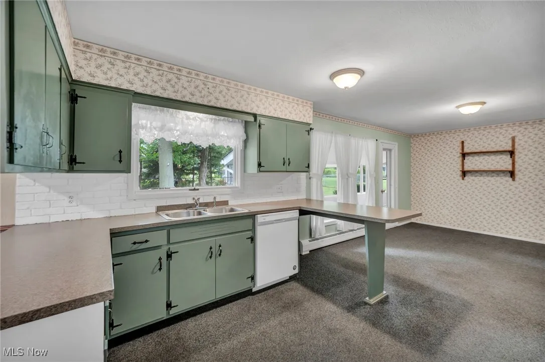 kitchen featuring berber carpet and plenty cabinet space and natural lighting