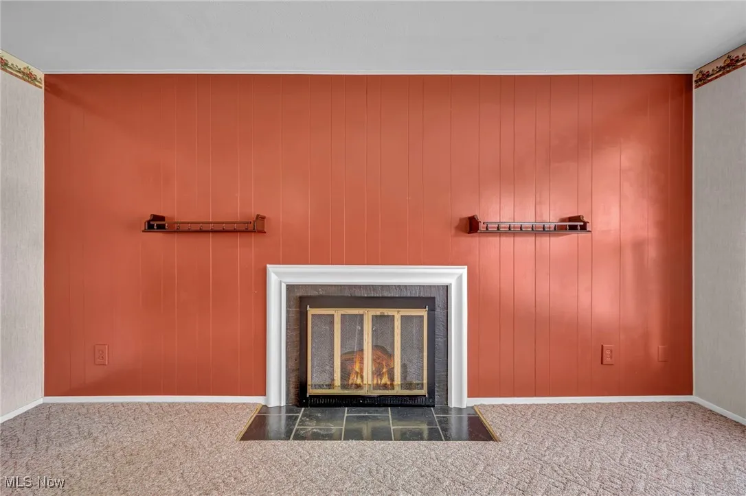 wood burning fireplace