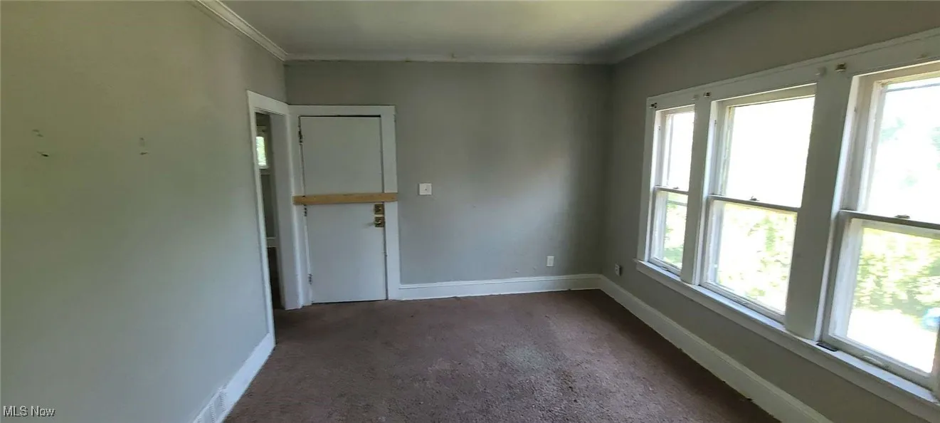 Unfurnished room featuring carpet and ornamental molding