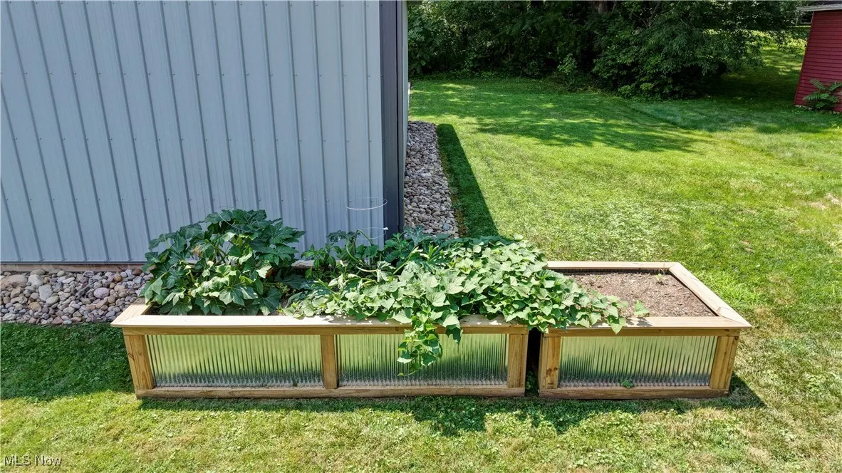 View of grassy yard