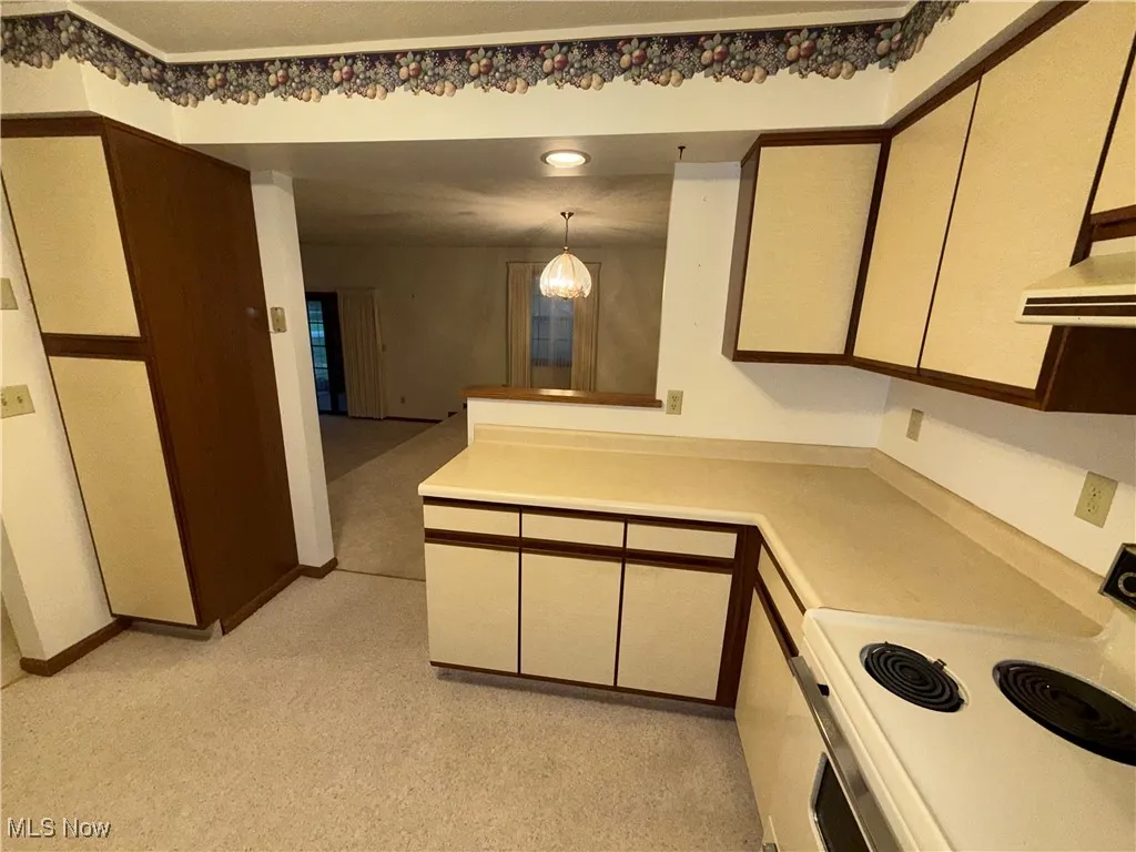972 Perkins Jones Road, Warren, Ohio,MLS Now Listing ID