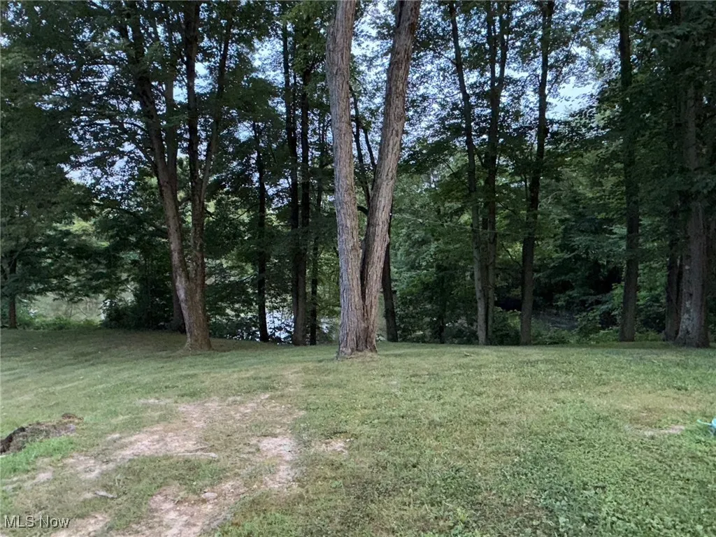 Yard with view of Pond