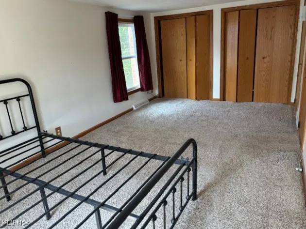 Master bedroom with carpet floors and multiple closets on 2nd floor