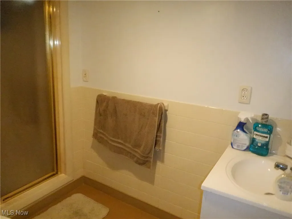 Basement bath with 4x4 shower