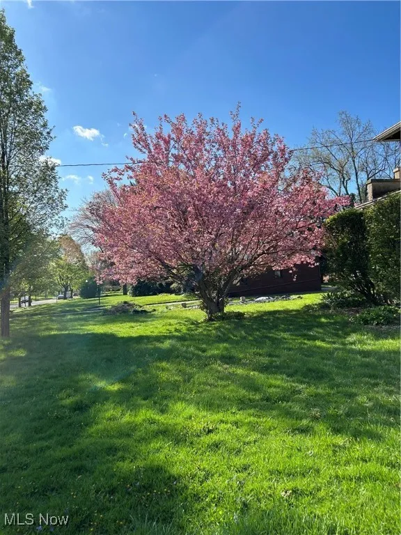 1568 W Exchange Street, Akron, Ohio,MLS Now Listing ID