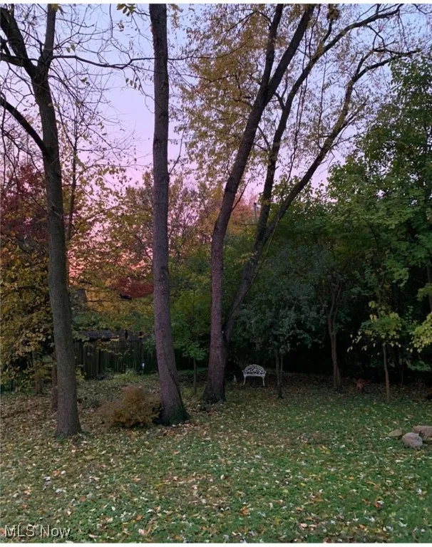 1568 W Exchange Street, Akron, Ohio,MLS Now Listing ID