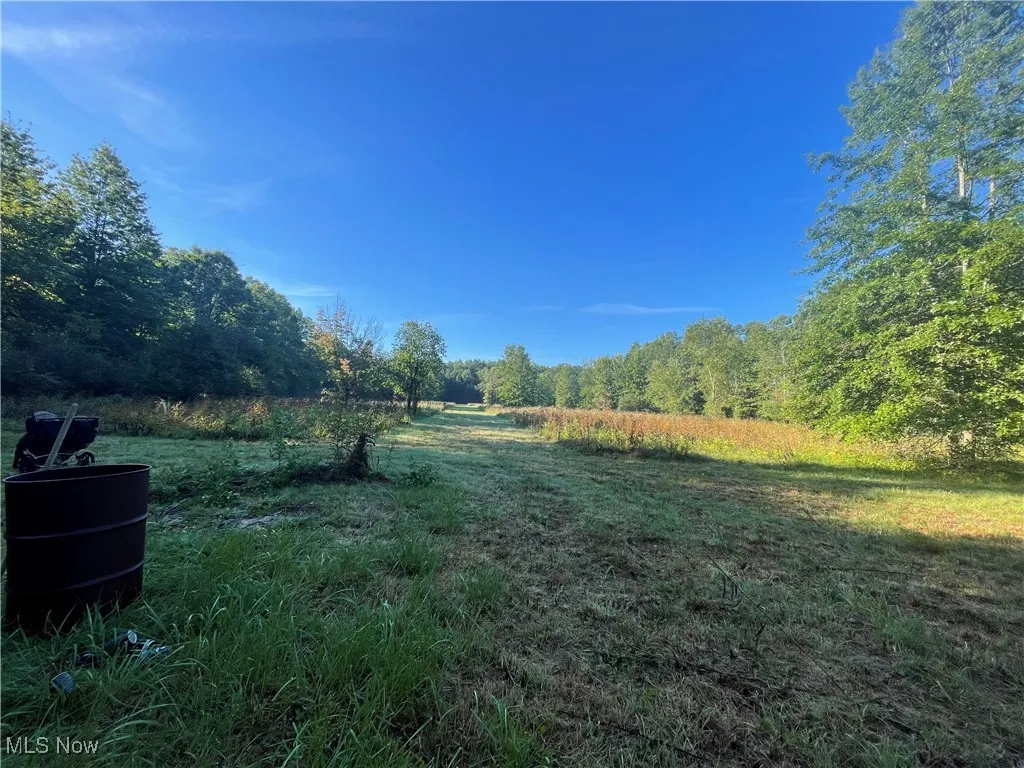 View of yard featuring a wooded view and a view of countryside