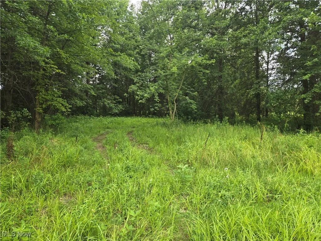 View of wooded area