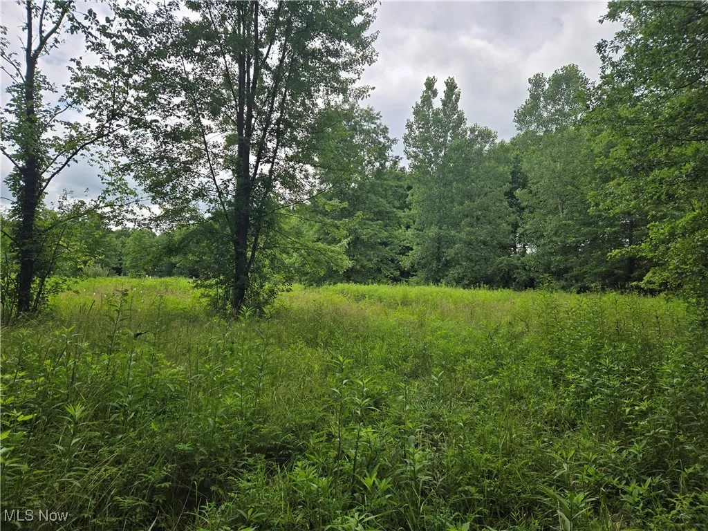 View of wooded area