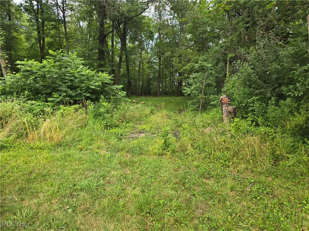 View of woods