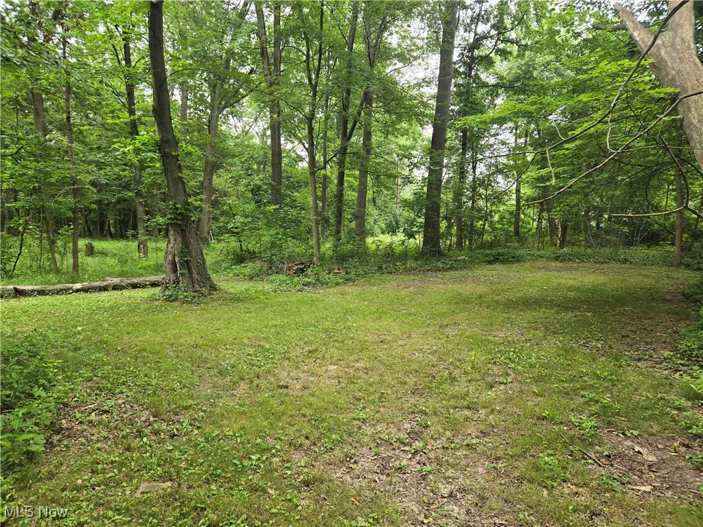View of grassy yard featuring a forest view