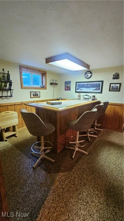 Indoor dry bar with a textured ceiling