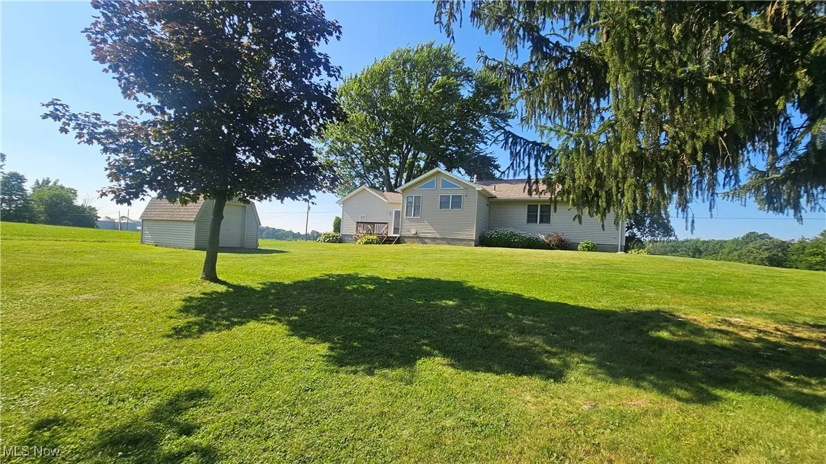 View of green lawn with a storage unit