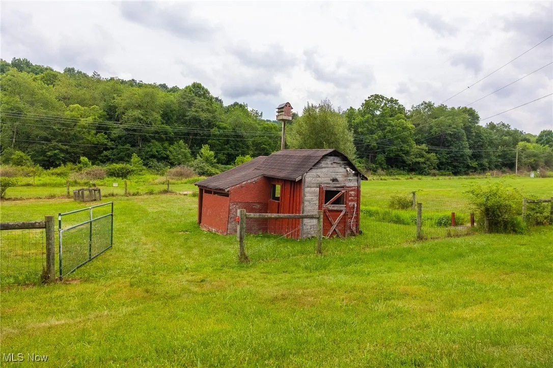 View of yard with a storage unit and a forest view