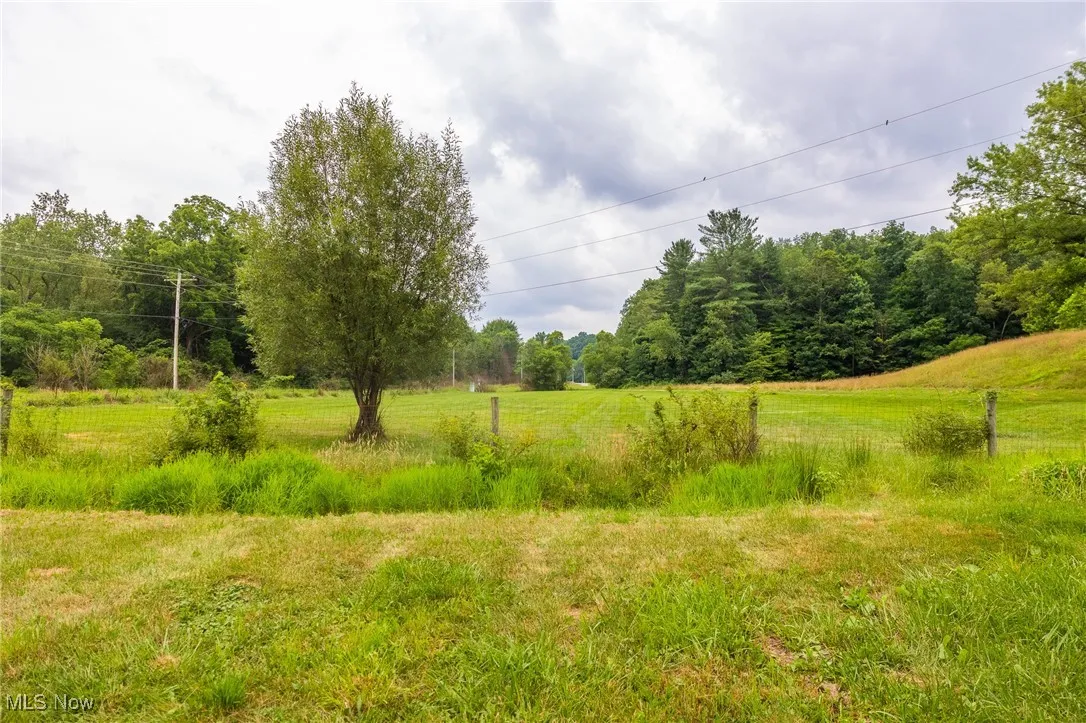 View of undeveloped land