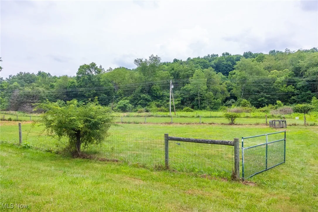 View of yard with a view of countryside and a view of trees