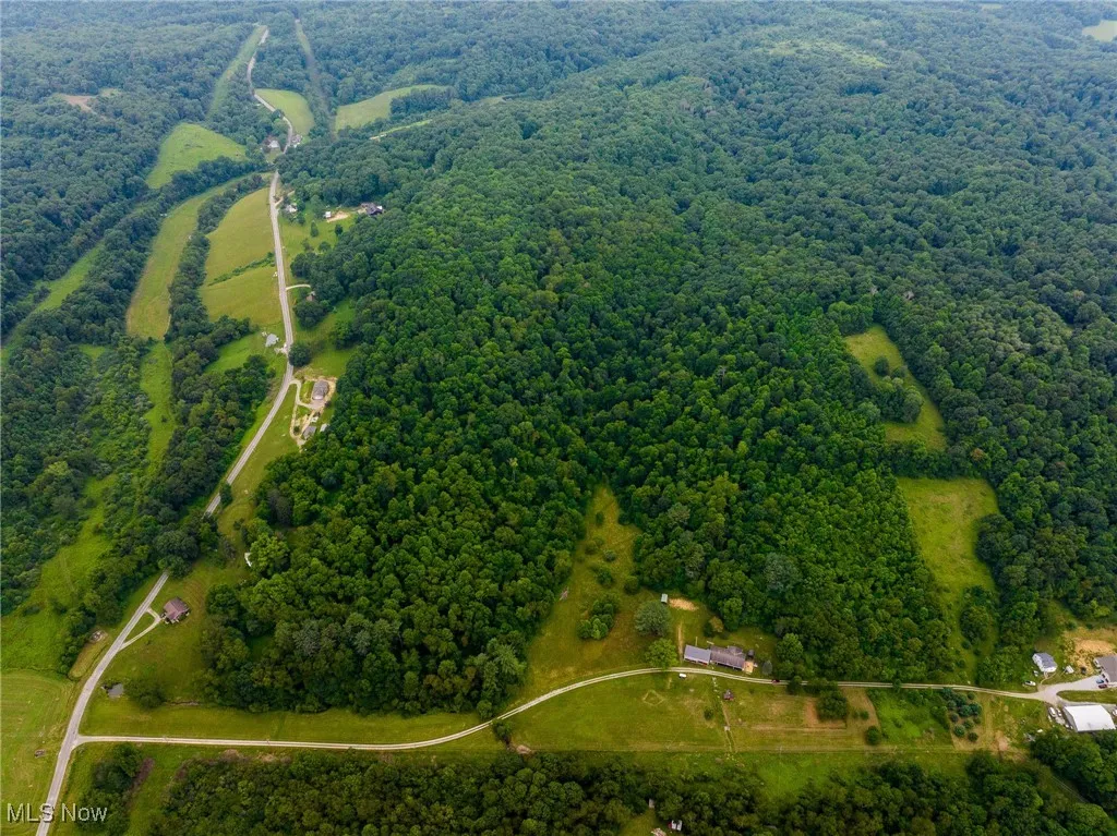 Aerial view of property's location with a forest and property parcel outlined
