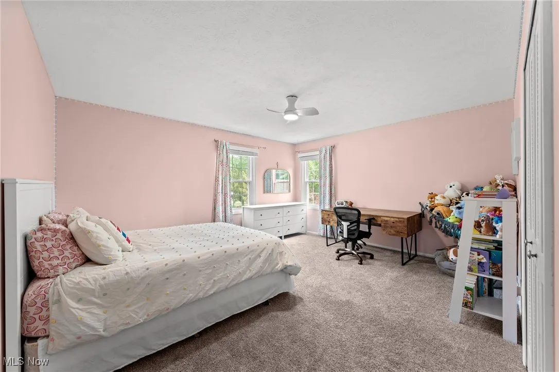 390 Willard Road, Aurora, Ohio,MLS Now Listing ID
