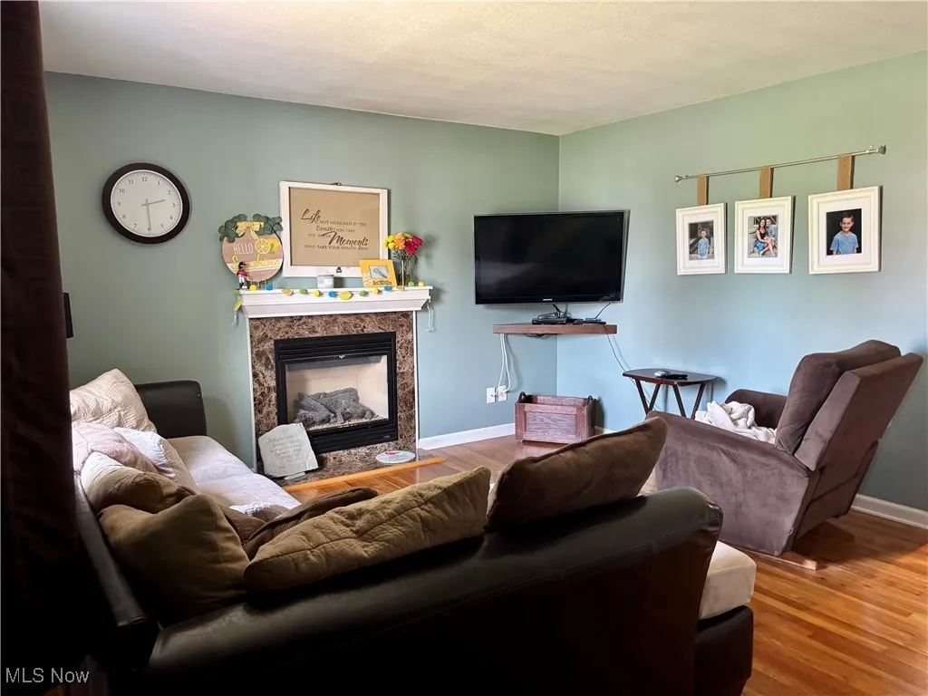 Living room featuring wood finished floors and a glass covered fireplace