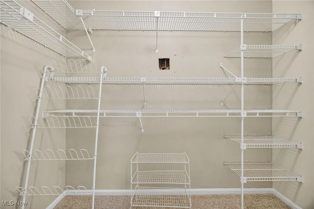 Walk in closet with shelves