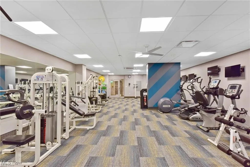 Exercise room with carpet, a ceiling fan, and a drop ceiling