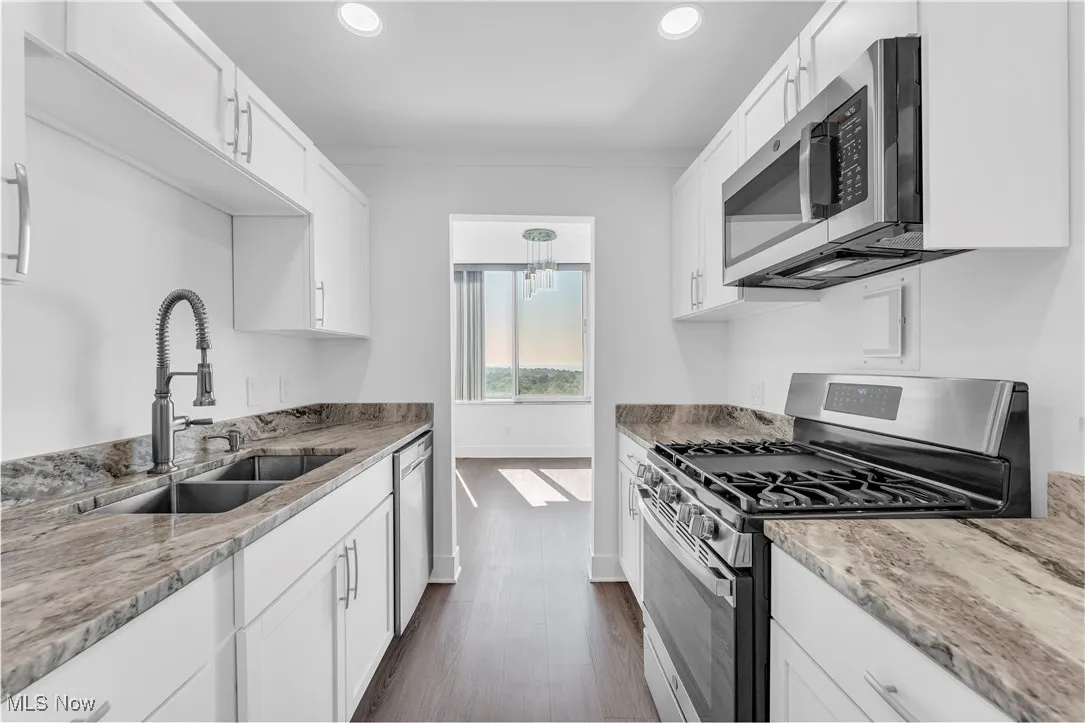 Kitchen with stainless steel appliances, dark wood-type flooring, white cabinetry, light stone counters, and recessed lighting