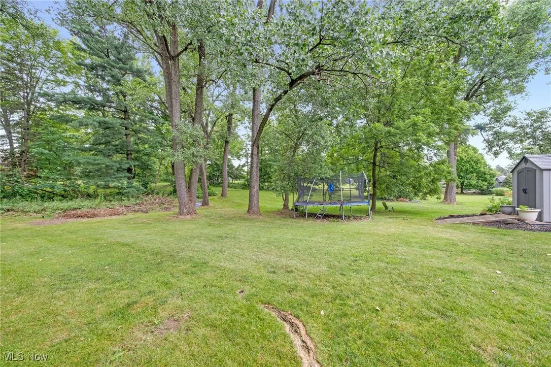 View of grassy yard featuring a trampoline and a storage unit