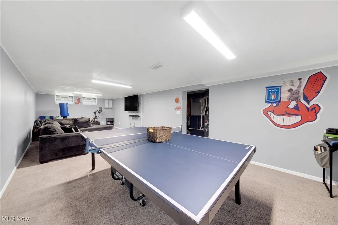 Recreation room featuring carpet floors and baseboards