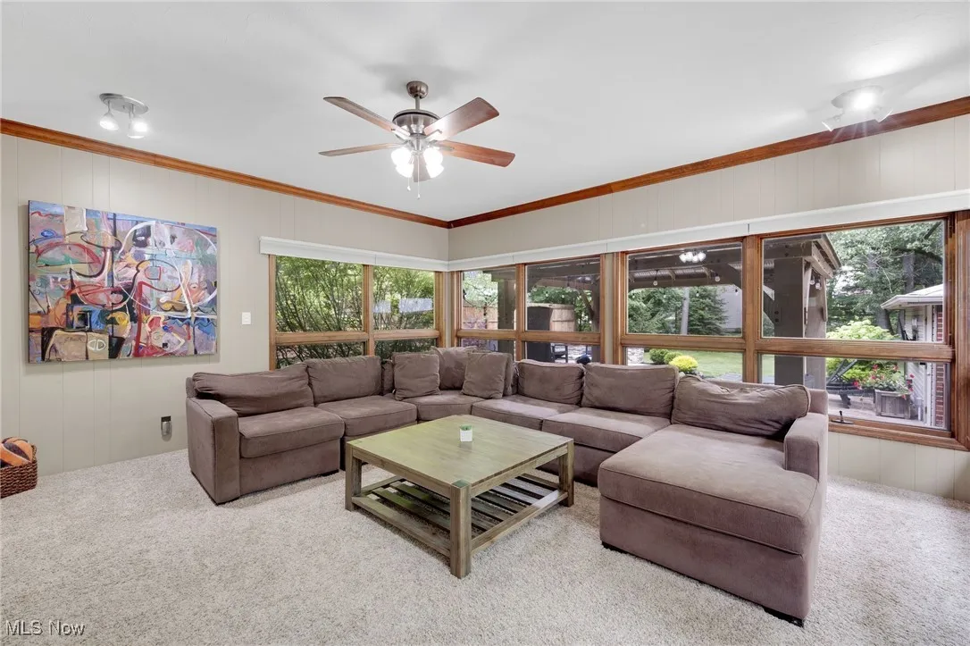 Carpeted living room featuring ceiling fan, ornamental molding, and a decorative wall