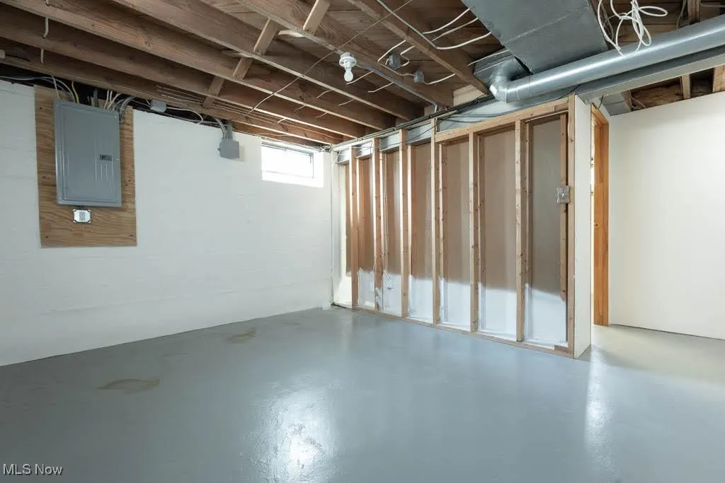 Basement with electric panel