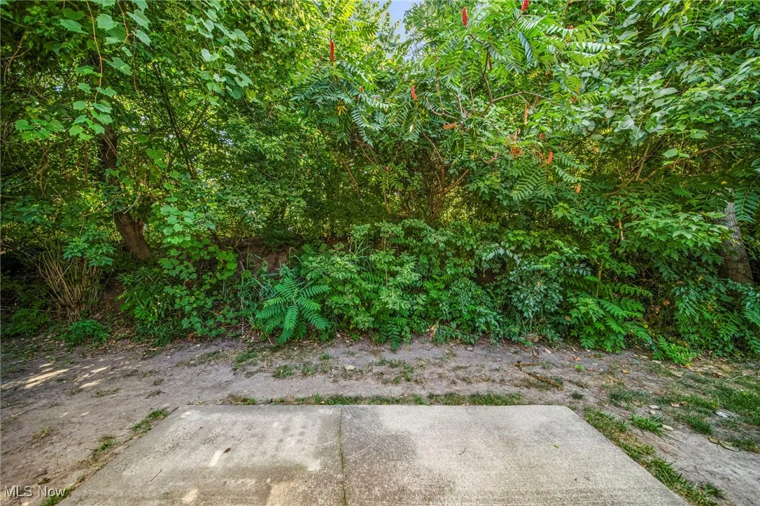 820 N Creek Drive, Ohio,MLS Now Listing ID