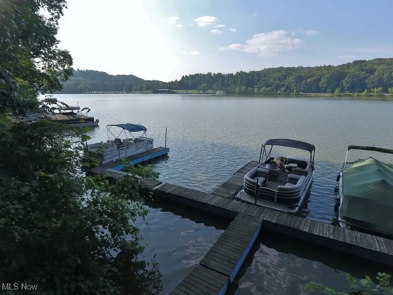 The dock slip included with the sale is the spot just to the right of the pontoon on the left side of the photot