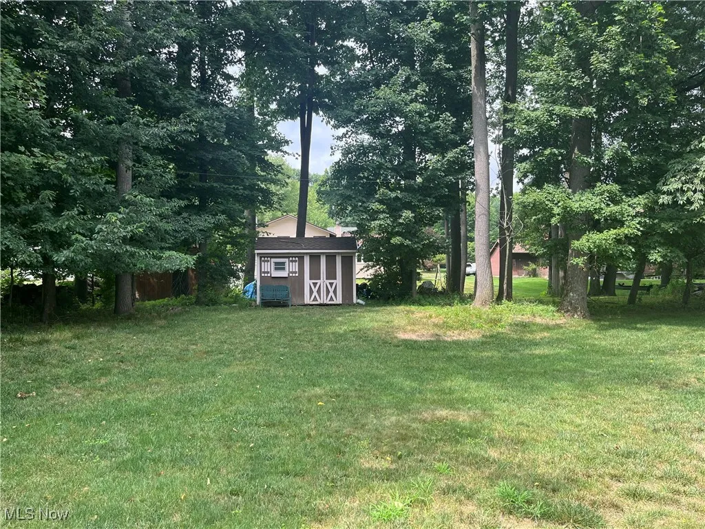 View of the backyard
