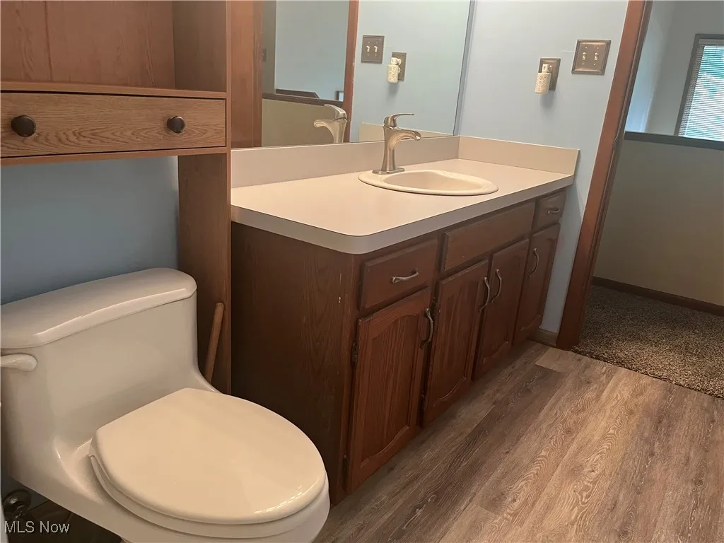 Bathroom featuring wood finished floors and vanity