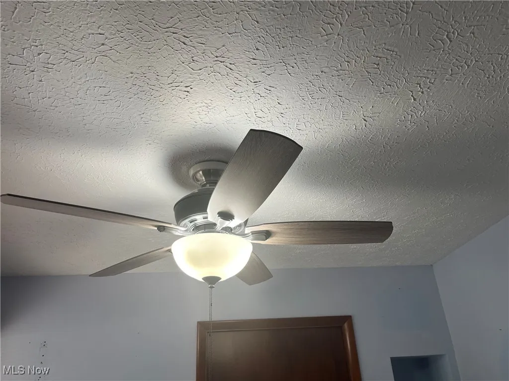 Ceiling Fan Ligtht in the First Floor Office