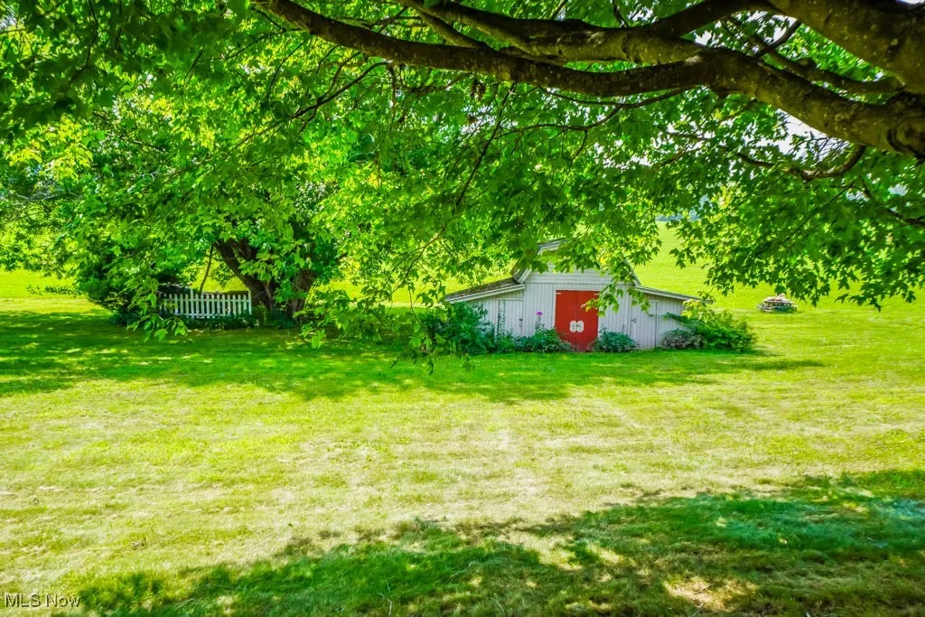 Shed