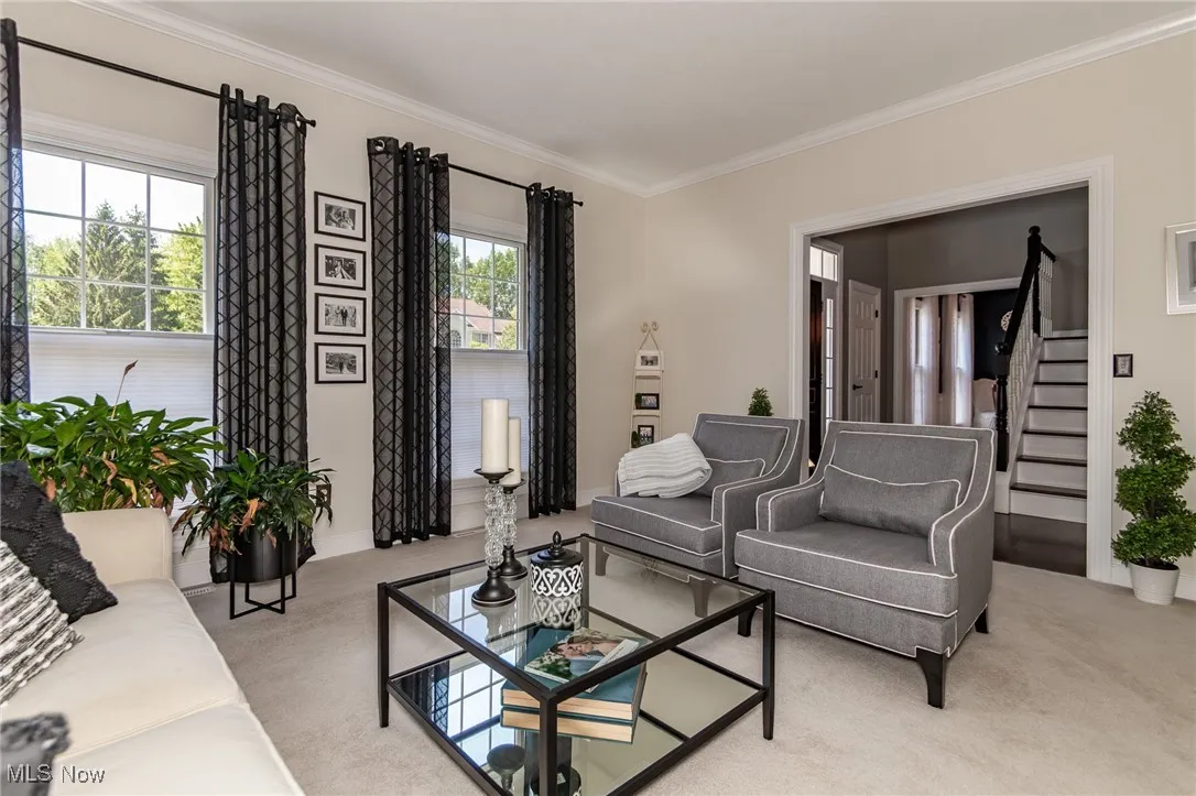 Living area with  abundance of light
