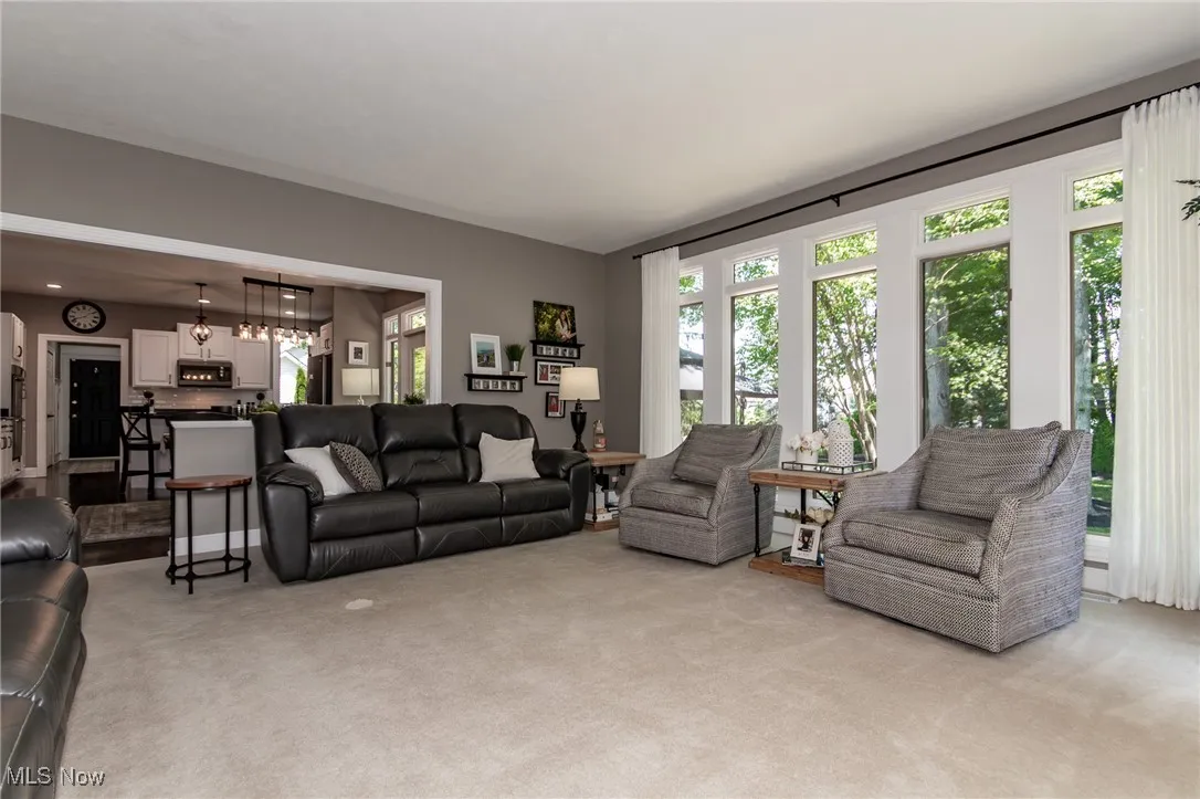 Carpeted Family Room with view of Eat-In Kitchen and a healthy amount of natural light